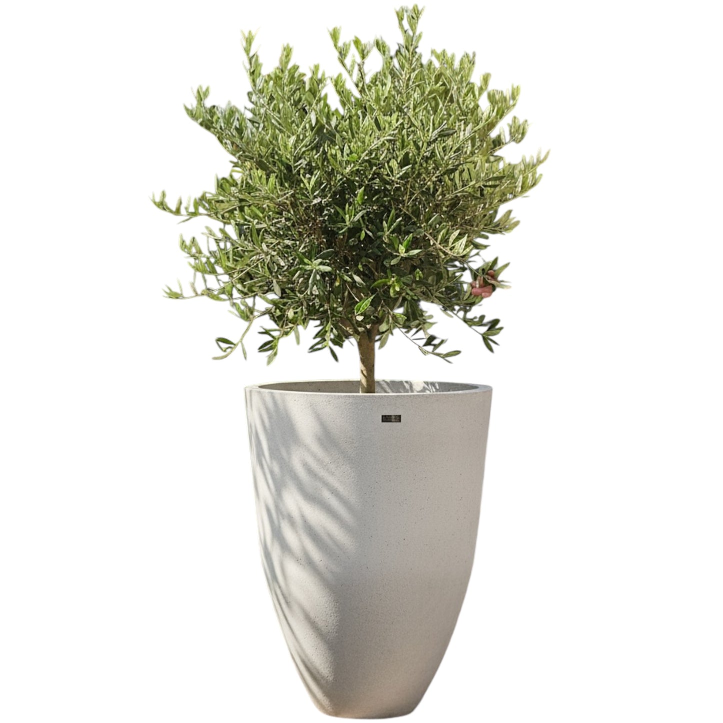 Pot méditerranéen 2