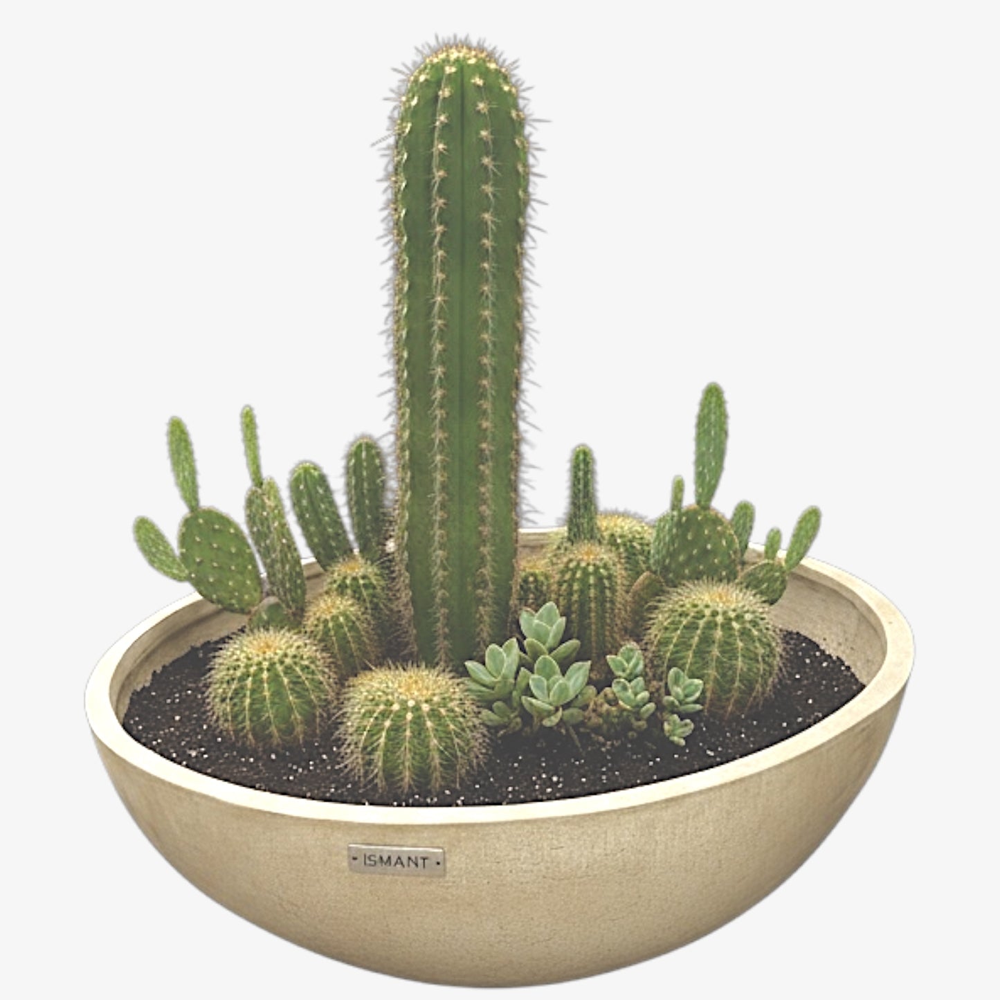 Pot bol géant en béton GFRC ismant 2