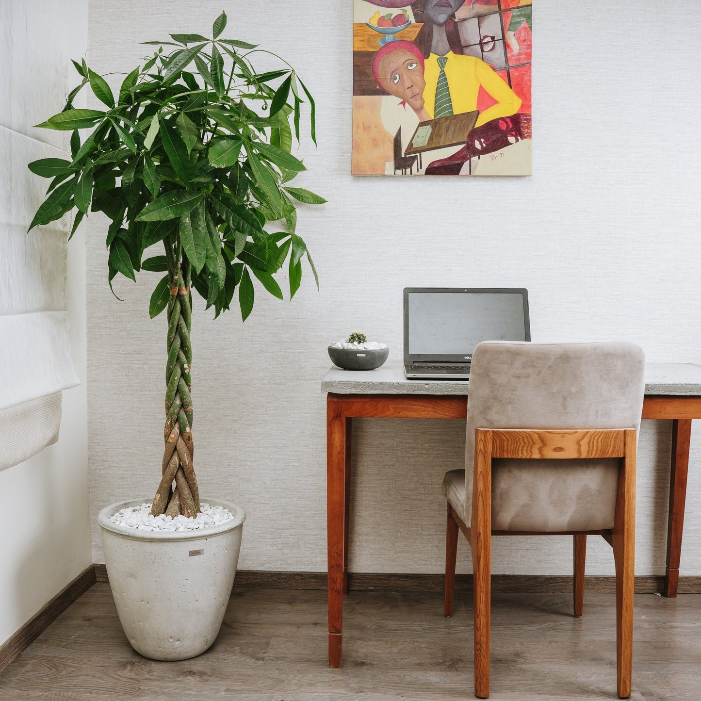 Pot Jade XXL - Pots - Ismant 4