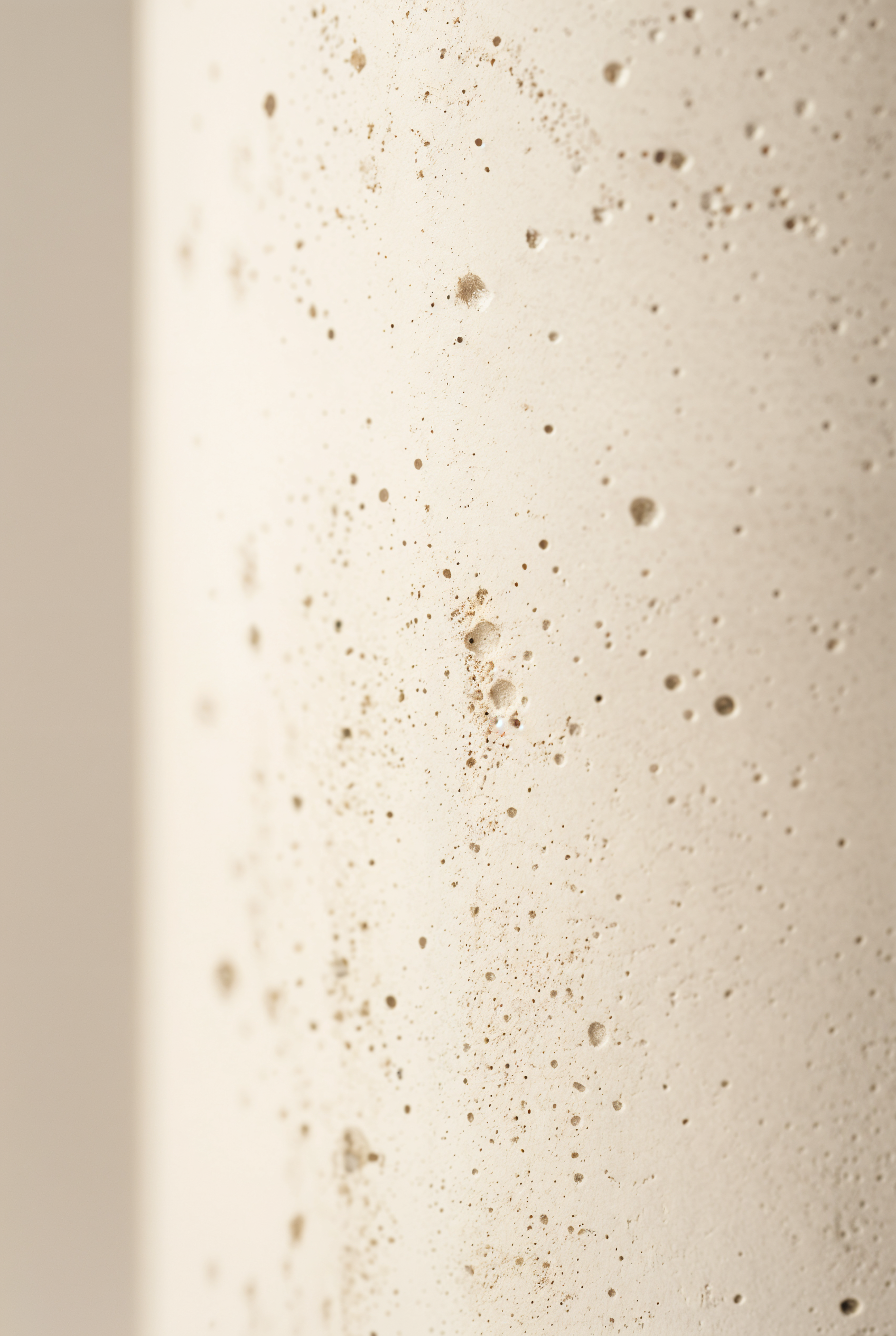 cylindre en béton polyvalent salle de bain — studio