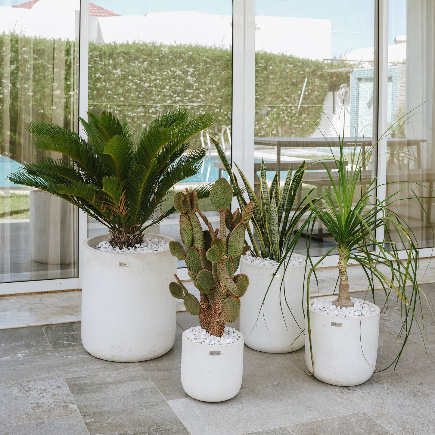 Pots minimaliste Luna en Béton