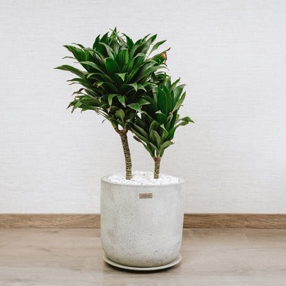 Pots minimaliste Luna en Béton