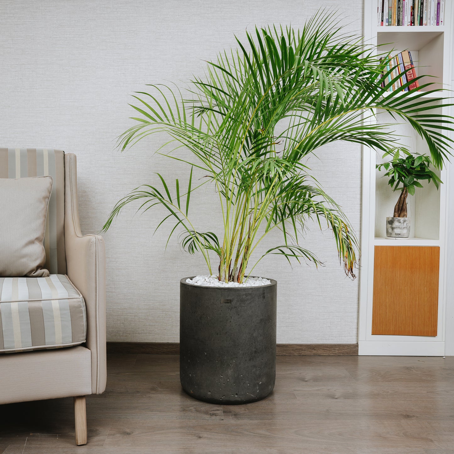 Pots minimaliste Luna en Béton