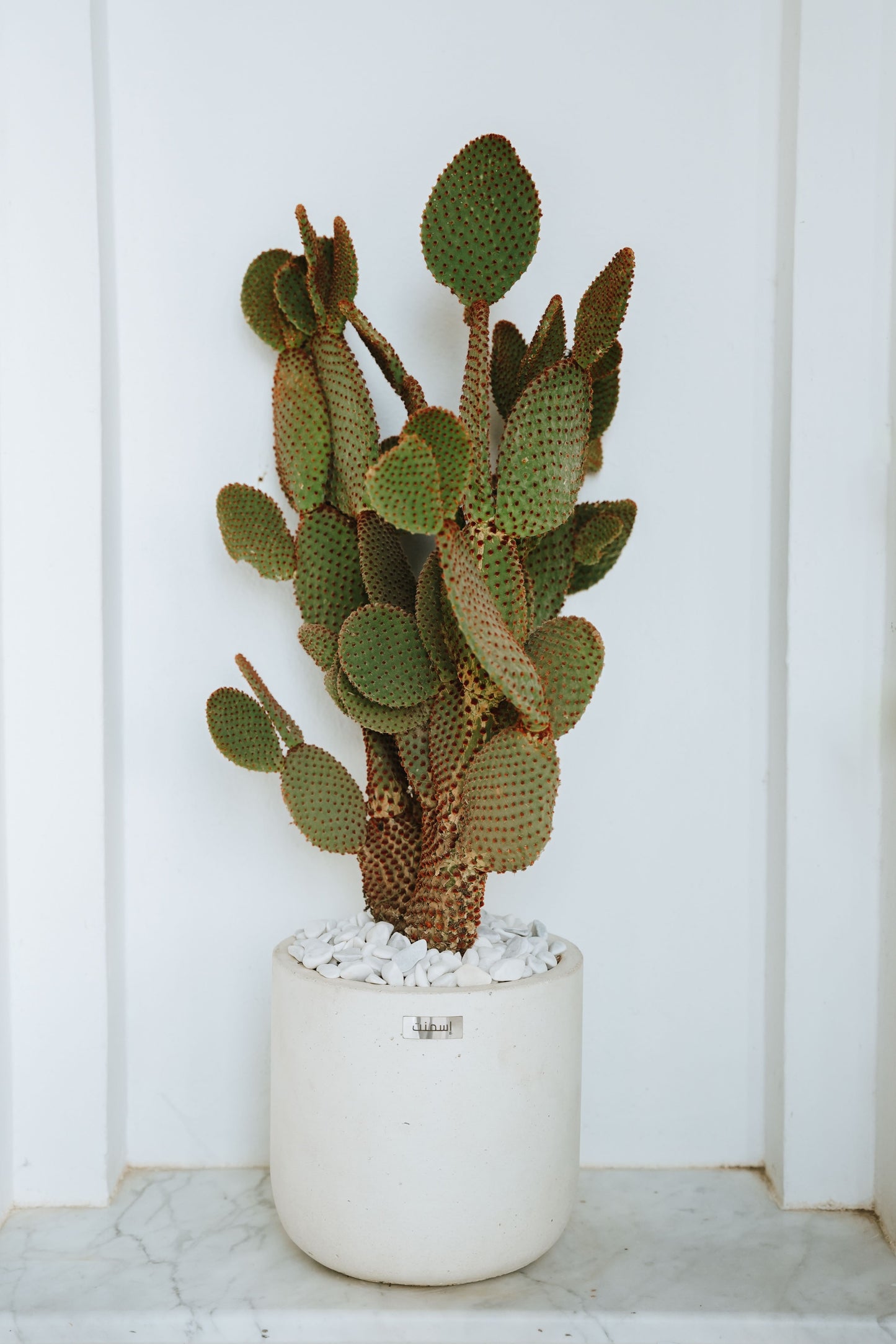 Pots minimaliste Luna en Béton