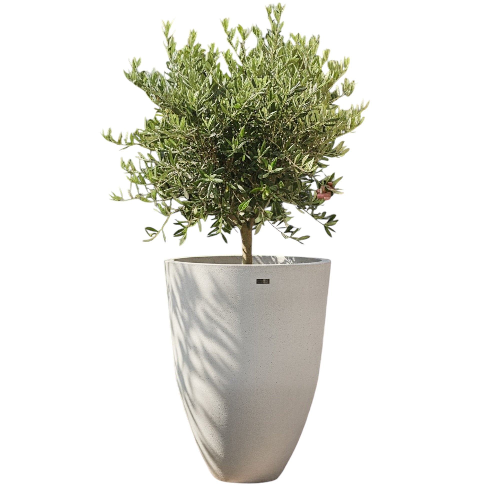 Pot méditerranéen 2