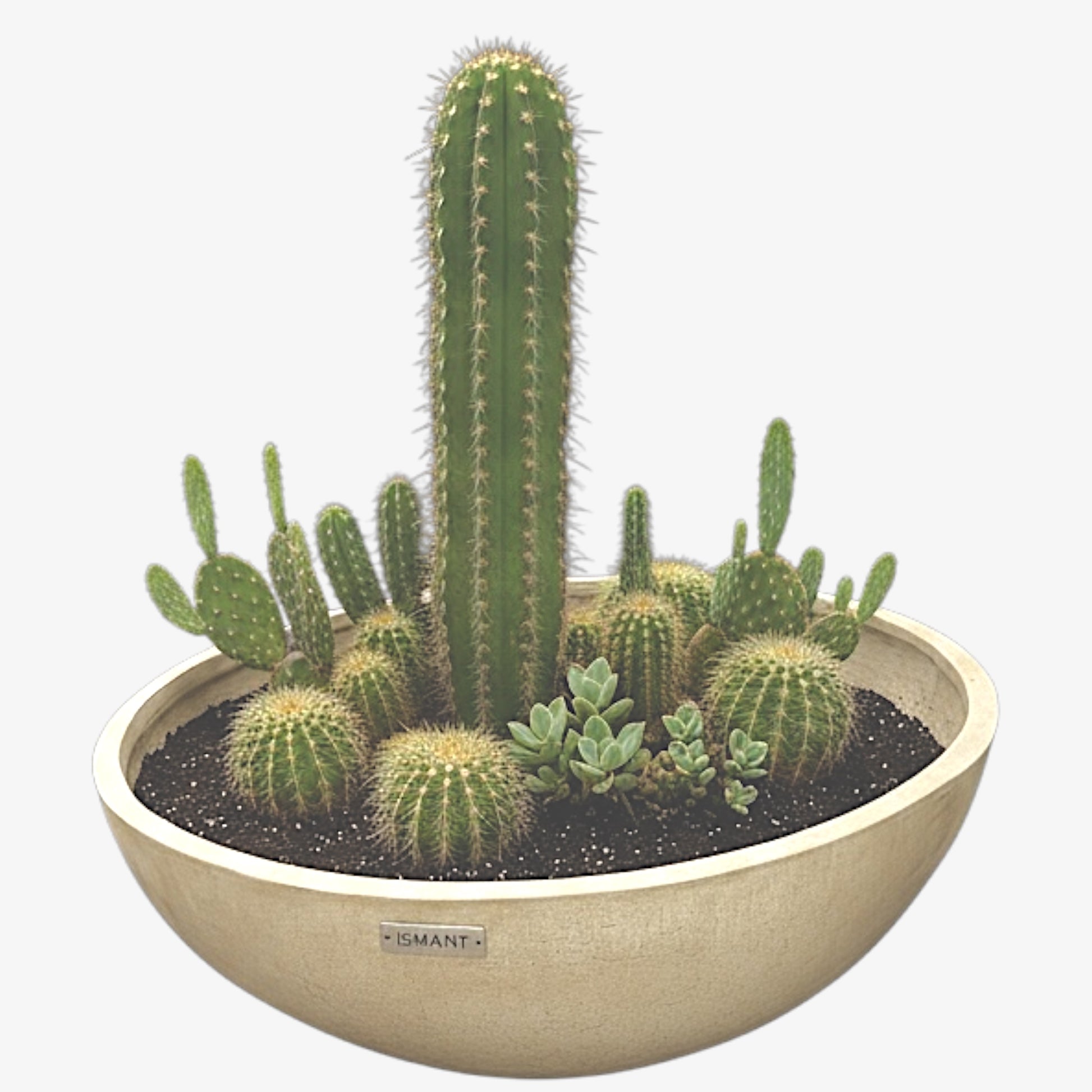 Pot bol géant en béton GFRC ismant 2