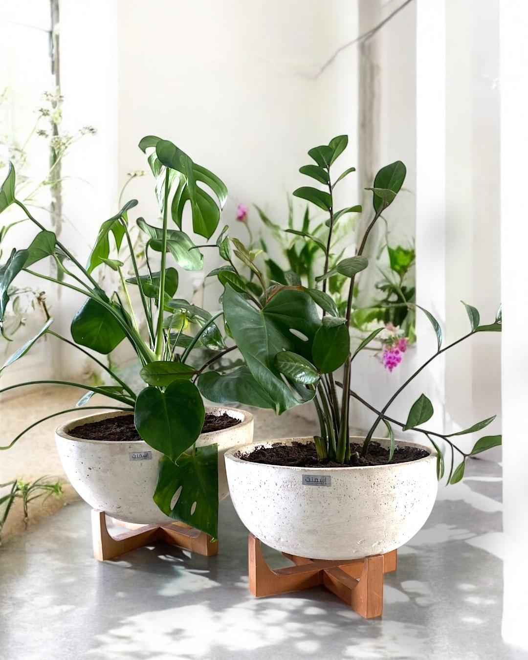 Pot Boléo en béton GFRC - Ismant 5