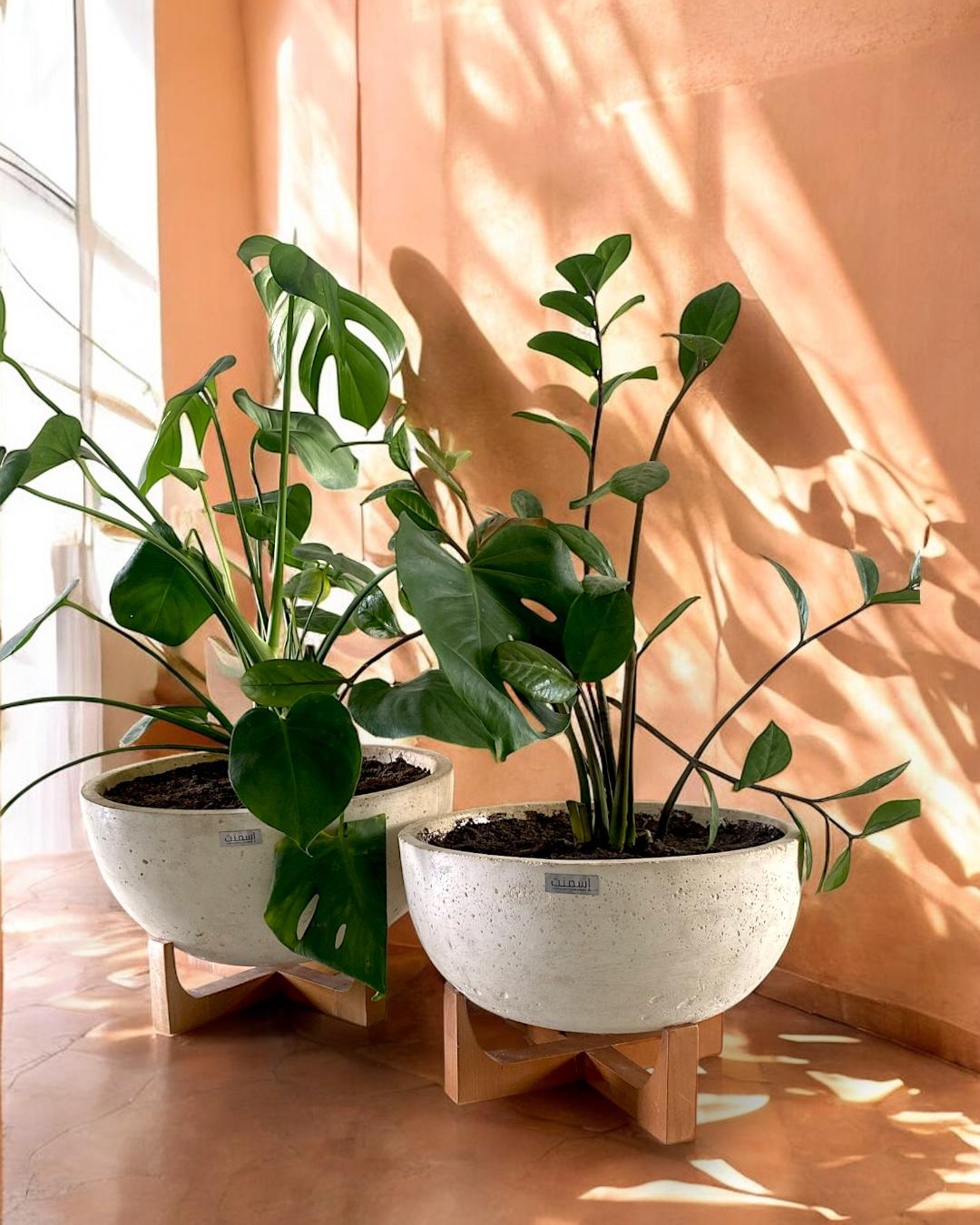 Pot Boléo en béton GFRC - Ismant 6