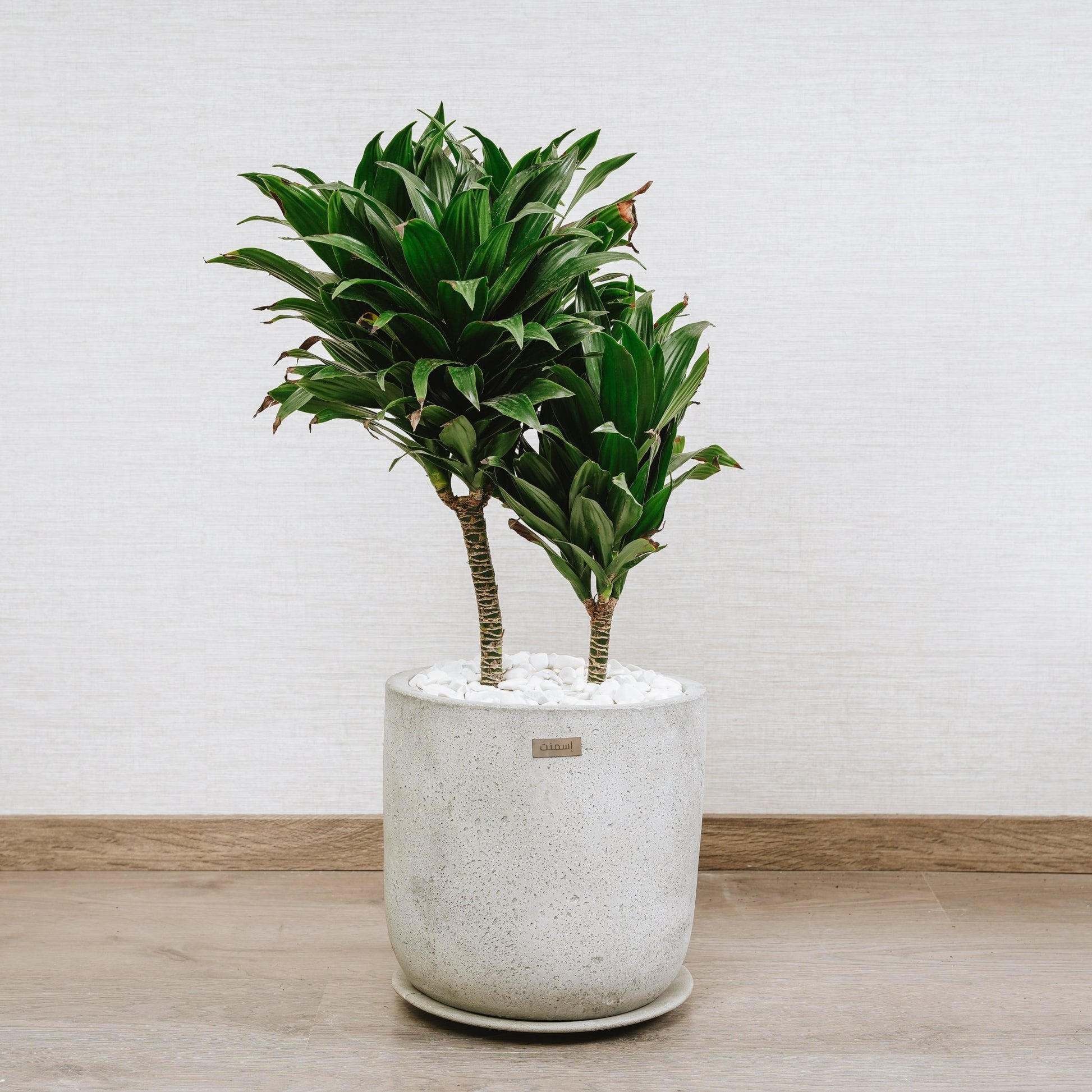 Pot Luna M - Pots - Ismant