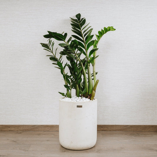 Pot Luna XL - Pots - Ismant